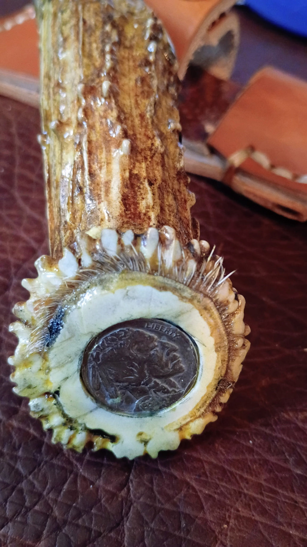 Handmade Bone Handle Knife
